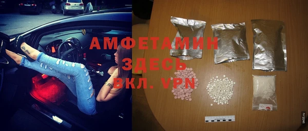 сатива Аркадак