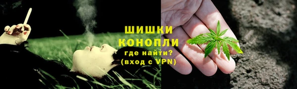сатива Аркадак