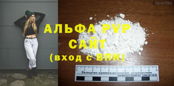 сатива Аркадак