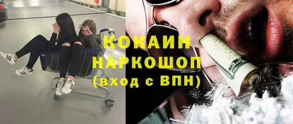 сатива Аркадак