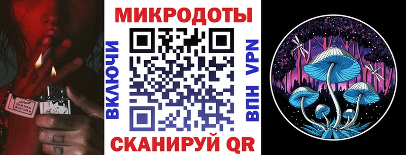 Галлюциногенные грибы Psilocybine cubensis  Серов 